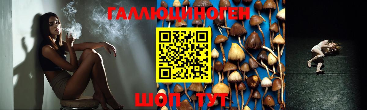 Коряжма  Галлюциногенные грибы MAGIC MUSHROOMS  Вход с VPN 